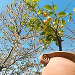 Bacio Del Sole Panzió