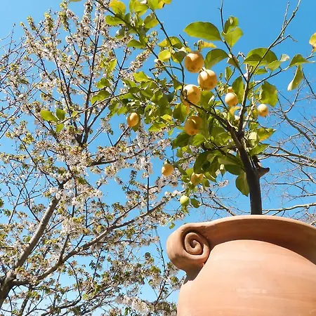 Bacio Del Sole Bed & Breakfast