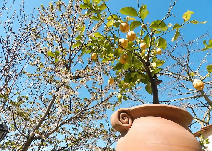 Bacio Del Sole Bed and Breakfast